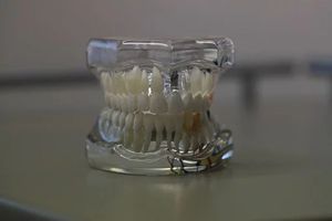 пасти за зъби без флуор - 12970 селекции
